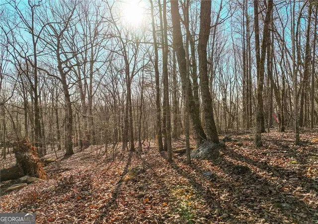 2nd image of Lot 11 Mount Mincie Rd, Murrayville, GA 30564 | MLS# 10823138