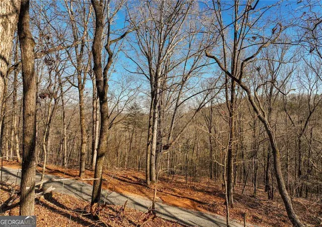 image of Lot 11 Mount Mincie Rd, Murrayville, GA 30564 | MLS# 10823138