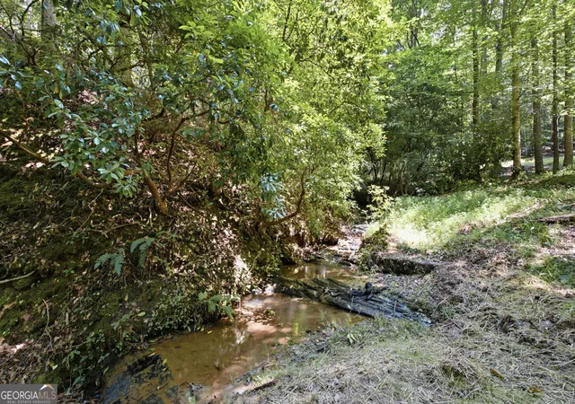 69th image of 302 Bumpy Trl, Dawsonville, GA 30534 | MLS# 10816917