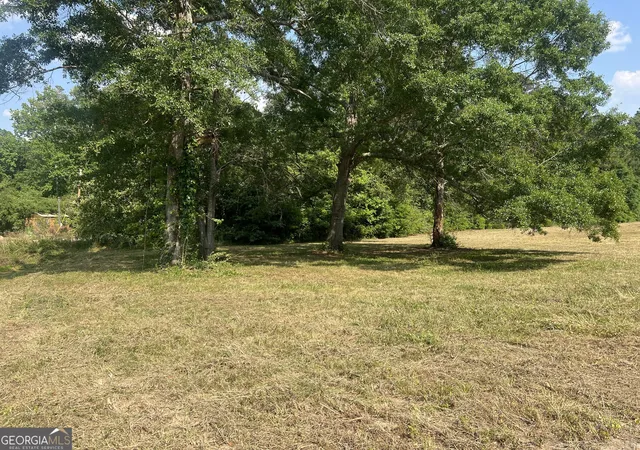 Photo 3 of Land for sale at 323 Forrest Clary Dr, Thomson, GA 30824 | MLS# 10740217 | Listing updated on 2026-06-20