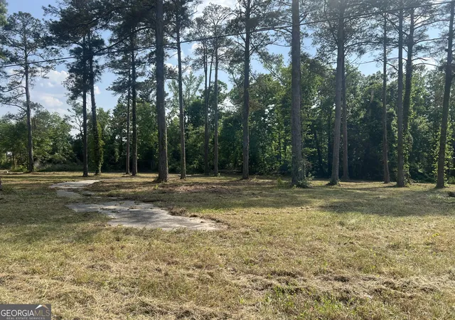 Photo 3 of Land for sale at 323 Forrest Clary Dr, Thomson, GA 30824 | MLS# 10740217 | Listing updated on 2026-06-20