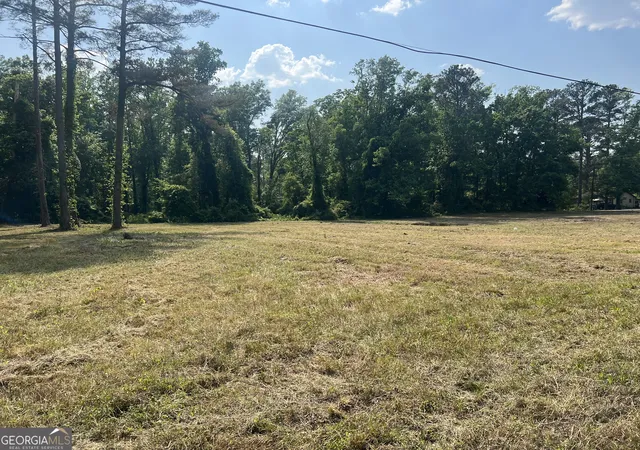 Photo 4 of Land for sale at 323 Forrest Clary Dr, Thomson, GA 30824 | MLS# 10740217 | Listing updated on 2026-06-20