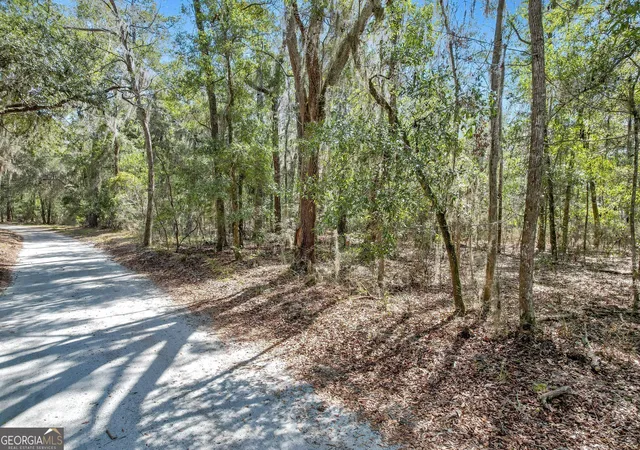 10th image of 0 Drizzle Bluff Rd, Woodbine, GA 31569 | MLS# 10257008