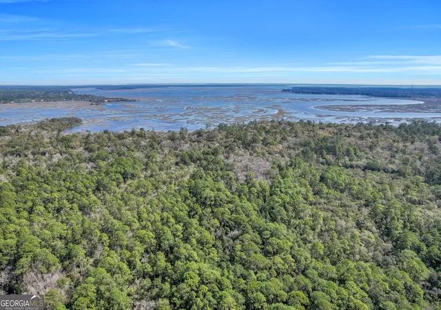 1st image of 0 Drizzle Bluff Rd, Woodbine, GA 31569 | MLS# 10257008