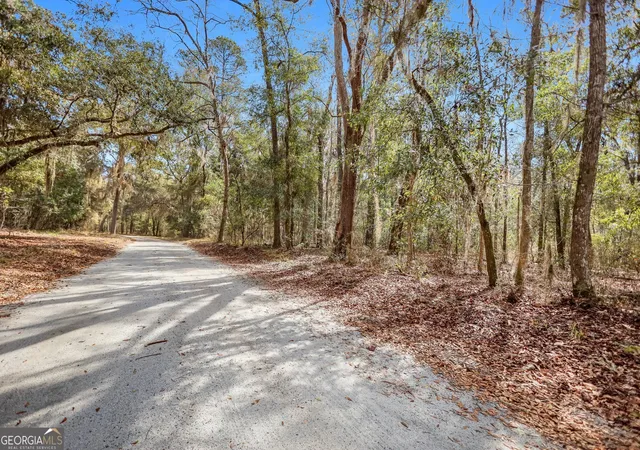 2nd image of 0 Drizzle Bluff Rd, Woodbine, GA 31569 | MLS# 10257008