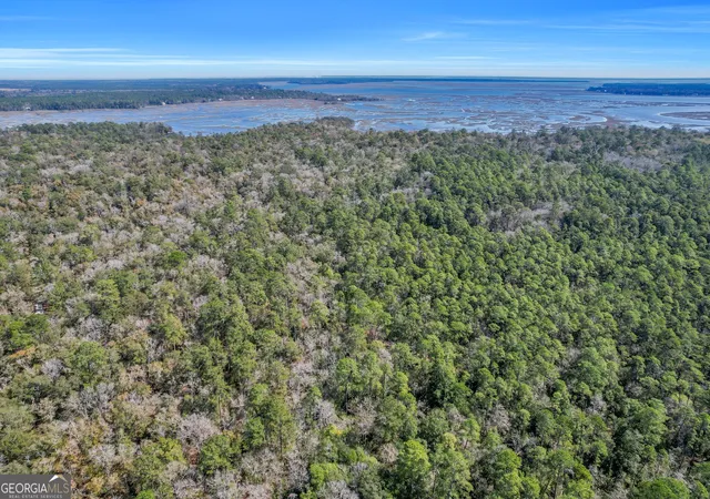 3rd image of 0 Drizzle Bluff Rd, Woodbine, GA 31569 | MLS# 10257008