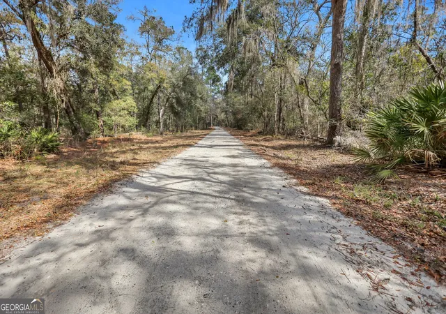 4th image of 0 Drizzle Bluff Rd, Woodbine, GA 31569 | MLS# 10257008