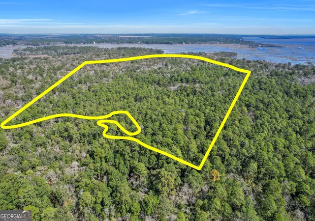 5th image of 0 Drizzle Bluff Rd, Woodbine, GA 31569 | MLS# 10257008