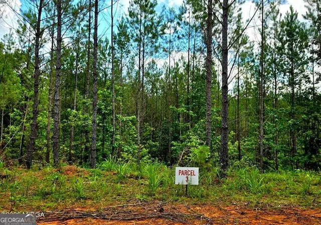Photo 3 of Land for sale at 0 Hwy 42 S, Forsyth, GA 31029 | MLS# 10835058 | Listing updated on 2026-09-11