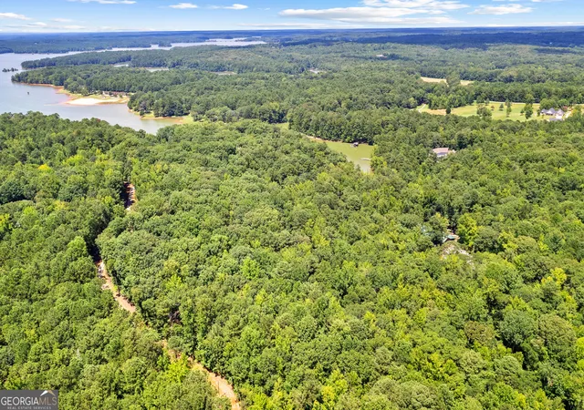 83rd image of 394 Ferrell Tatum Rd, Lagrange, GA 30240 | MLS# 10782906