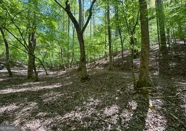 Photo 1 of Land for sale at Lot 1972 Nancy Ct, Ellijay, GA 30540 | MLS# 10741409 | Listing updated on 2026-09-30