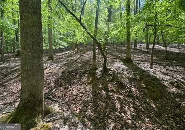 Photo 2 of Land for sale at Lot 1972 Nancy Ct, Ellijay, GA 30540 | MLS# 10741409 | Listing updated on 2026-09-30