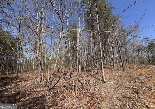 1st image of 0 Hwy 129 N, Cleveland, GA 30528 | MLS# 10817073