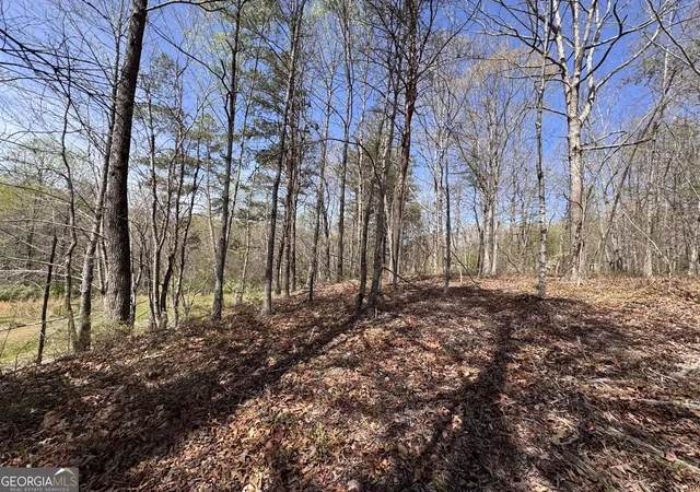 2nd image of 0 Hwy 129 N, Cleveland, GA 30528 | MLS# 10817073