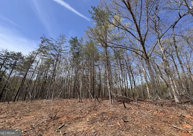 3rd image of 0 Hwy 129 N, Cleveland, GA 30528 | MLS# 10817073