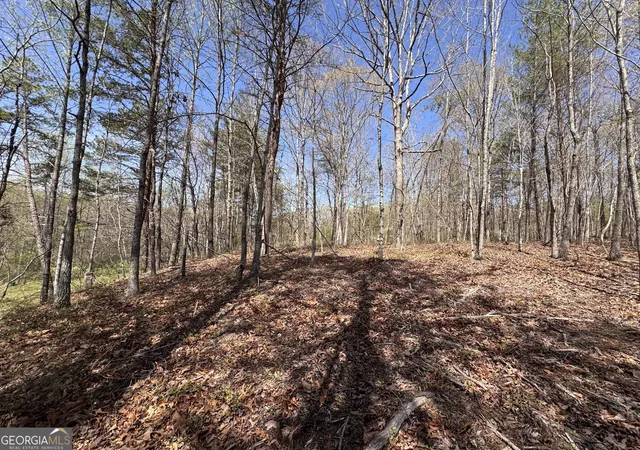4th image of 0 Hwy 129 N, Cleveland, GA 30528 | MLS# 10817073