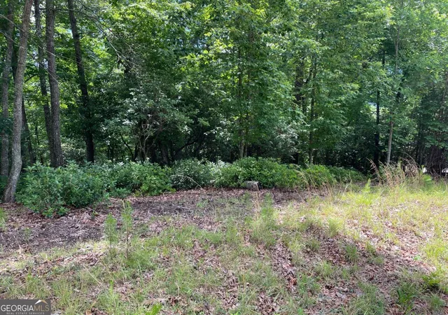 Photo 3 of Land for sale at Lot 57 Asheland Overlook #57, Young Harris, GA 30582 | MLS# 10791851 | Listing updated on 2026-07-08