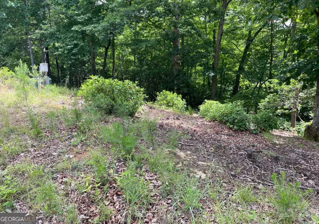Photo 4 of Land for sale at Lot 57 Asheland Overlook #57, Young Harris, GA 30582 | MLS# 10791851 | Listing updated on 2026-07-08
