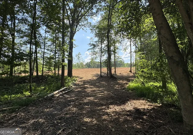Homes for sale in Roopville, GA | Lot 4 Happy Hollow Rd, Roopville, GA 30170 | MLS# 10550524