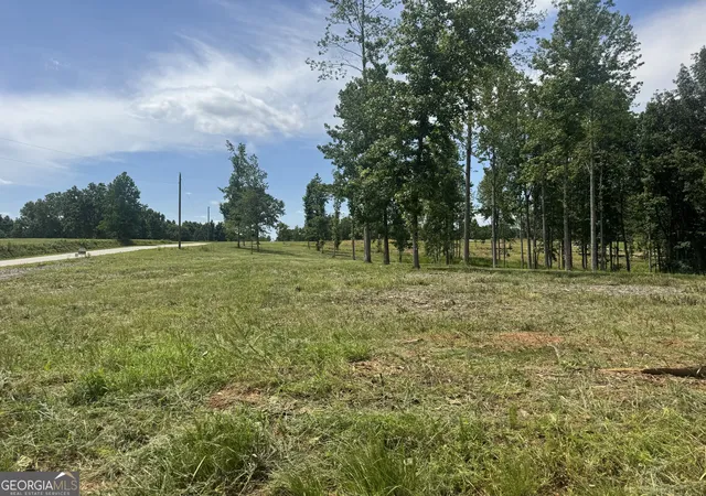 Homes for sale in Roopville, GA | Lot 4 Happy Hollow Rd, Roopville, GA 30170 | MLS# 10550524