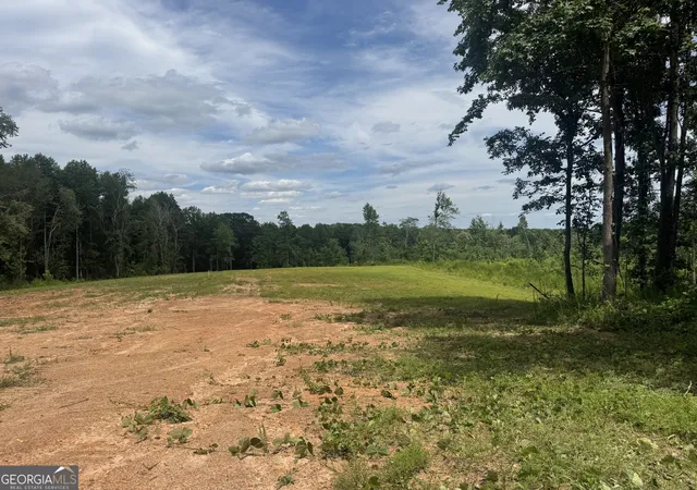 Homes for sale in Roopville, GA | Lot 4 Happy Hollow Rd, Roopville, GA 30170 | MLS# 10550524