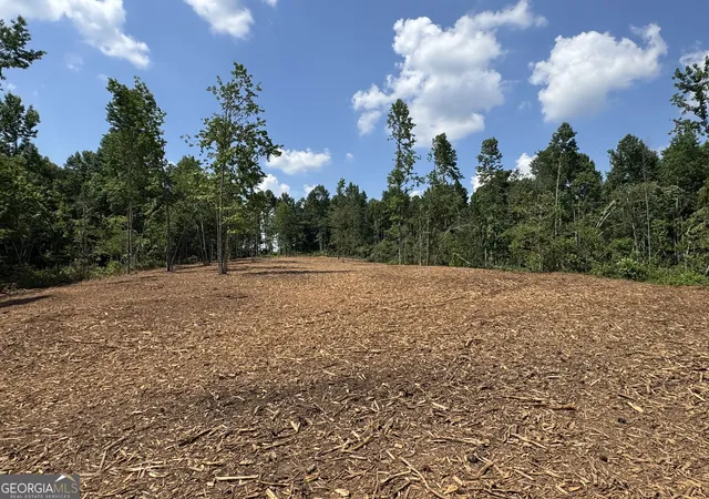 Homes for sale in Roopville, GA | Lot 4 Happy Hollow Rd, Roopville, GA 30170 | MLS# 10550524