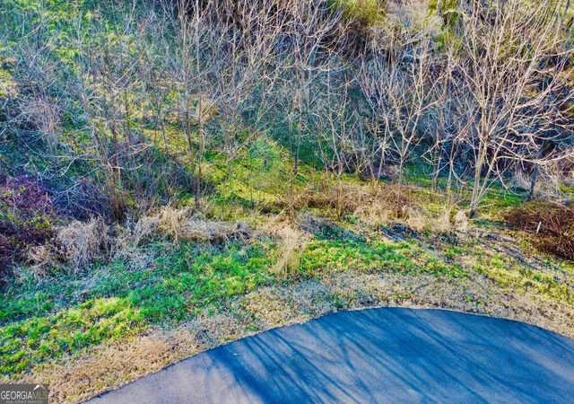 Photo 1 of Land for sale at 16 Ann's Way, Blairsville, GA 30512 | MLS# 10676891 | Listing updated on 2026-08-04