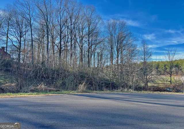 Photo 1 of Land for sale at 16 Ann's Way, Blairsville, GA 30512 | MLS# 10676891 | Listing updated on 2026-08-04
