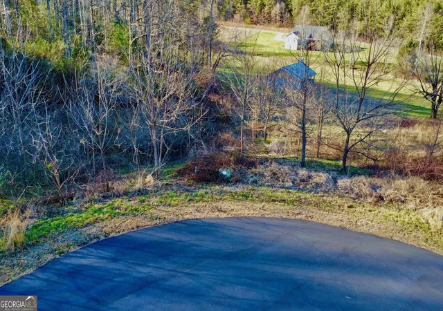 Photo 2 of Land for sale at 16 Ann's Way, Blairsville, GA 30512 | MLS# 10676891 | Listing updated on 2026-08-04