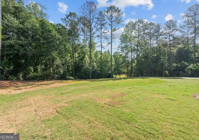 56th image of 135 Martin Cemetery Rd, Carrollton, GA 30117 | MLS# 10819493