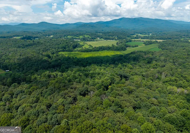 38th image of 237 Rusty Lady Ln, Ellijay, GA 30536 | MLS# 10805931
