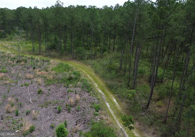 Homes for sale in Claxton, GA | 01 Bay Branch Church Road, Claxton, GA 30417 | MLS# 10789320
