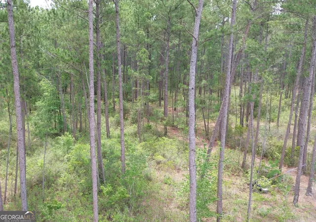 Homes for sale in Claxton, GA | 01 Bay Branch Church Road, Claxton, GA 30417 | MLS# 10789320