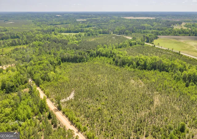 3rd image of 18 Graham Ln, Cadwell, GA 31009 | MLS# 10777681