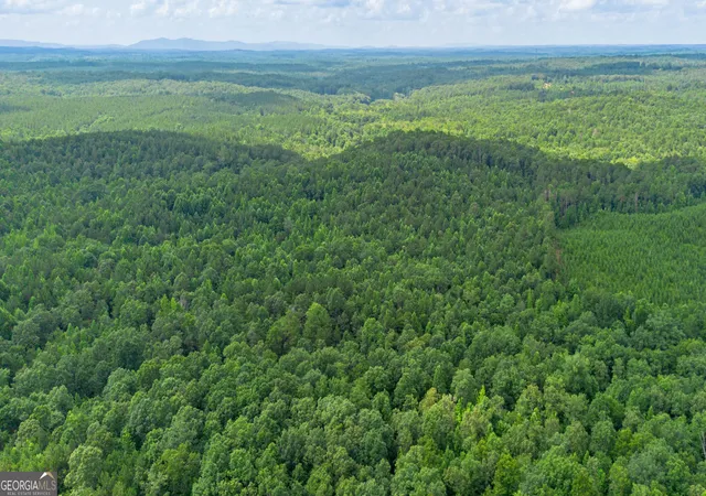 Homes for sale in Fruithurst, AL | 0 Vineyard Lot 3, Fruithurst, AL 36262 | MLS# 10800713