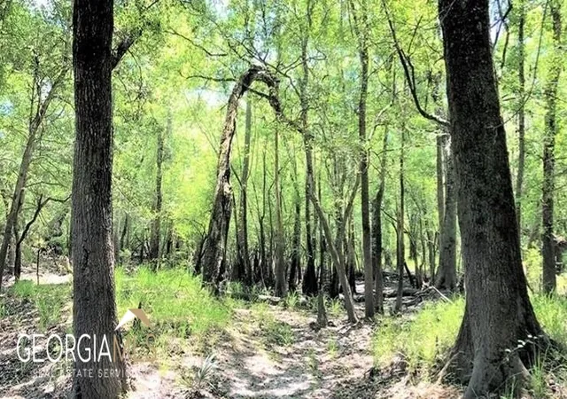 Photo 4 of Land for sale at Lot 2 Baker Blvd/Cr 4, St. George, GA 31562 | MLS# 10760903 | Listing updated on 2026-07-21