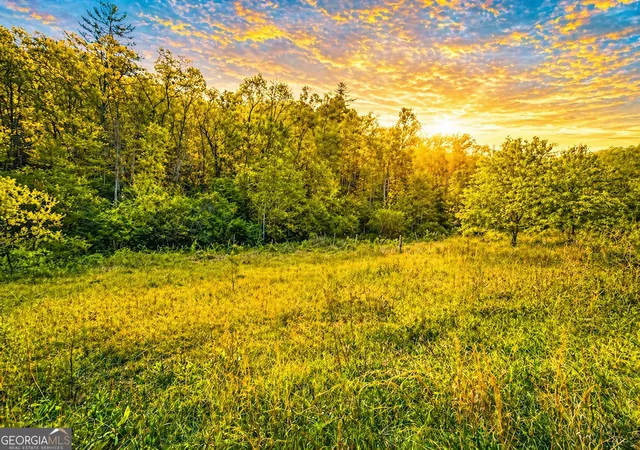 2nd image of 80 Acres Valley Lake Rd, Mineral Bluff, GA 30559 | MLS# 10753185