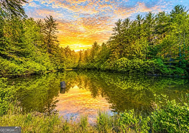 3rd image of 80 Acres Valley Lake Rd, Mineral Bluff, GA 30559 | MLS# 10753185