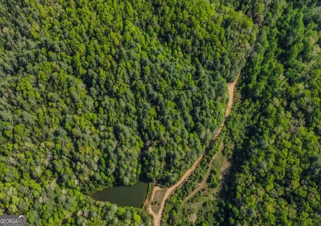 4th image of 80 Acres Valley Lake Rd, Mineral Bluff, GA 30559 | MLS# 10753185