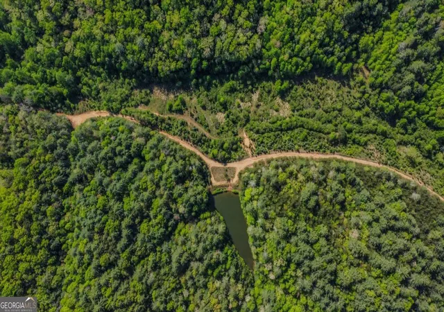 58th image of 80 Acres Valley Lake Rd, Mineral Bluff, GA 30559 | MLS# 10753185