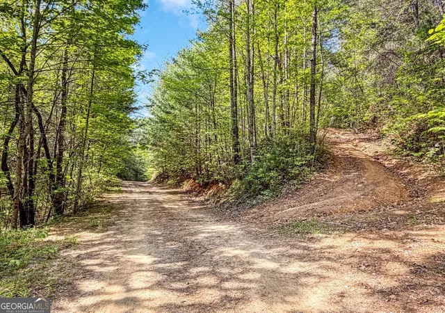 5th image of 80 Acres Valley Lake Rd, Mineral Bluff, GA 30559 | MLS# 10753185