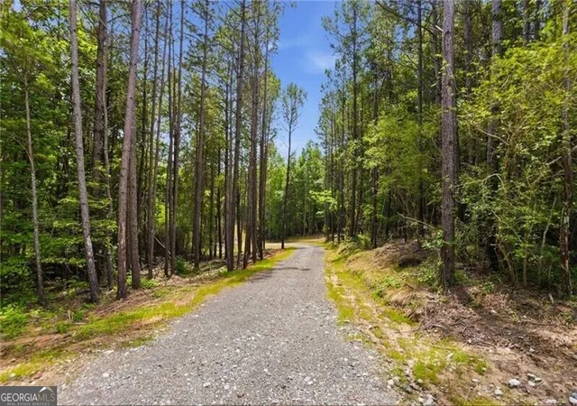 Photo 1 of Land for sale at Lot 4 Orlando Path, Dallas, GA 30157 | MLS# 10796070 | Listing updated on 2026-08-03