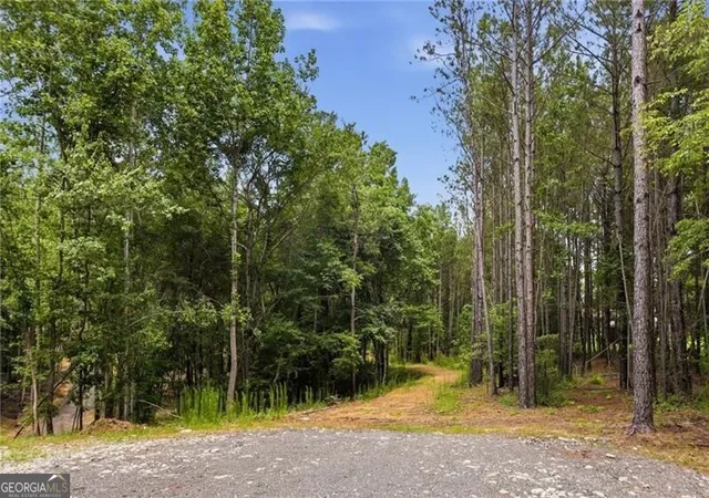 Photo 4 of Land for sale at Lot 4 Orlando Path, Dallas, GA 30157 | MLS# 10796070 | Listing updated on 2026-08-03
