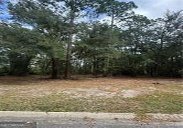 Photo 3 of Land for sale at 86 Marsh Crk Blvd, Waverly, GA 31565 | MLS# 10620705 | Listing updated on 2026-08-15