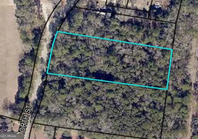 1st image of 0 North Street, Statesboro, GA 30458 | MLS# 10833673