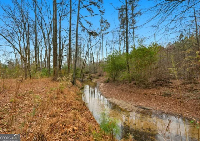 33rd image of 1188 Carl Bethlehem Rd, Winder, GA 30680 | MLS# 10769737