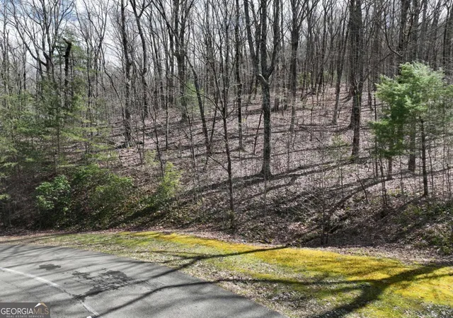 Photo 1 of Land for sale at 66 St Andrews Way, Ellijay, GA 30536 | MLS# 10787085 | Listing updated on 2026-10-27