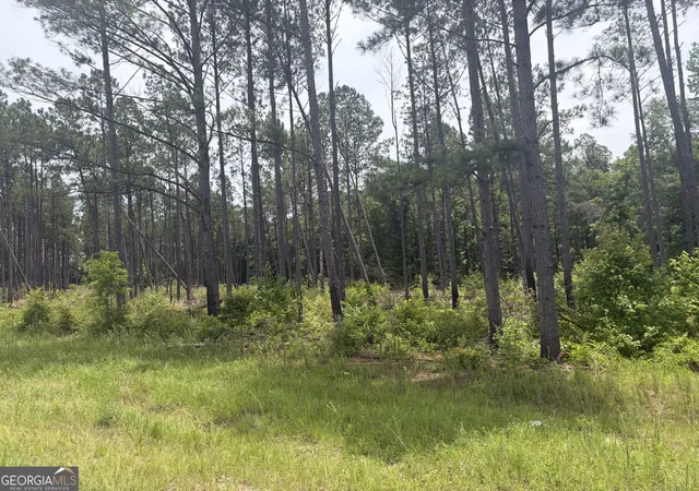3rd image of 1 Sunhill Grange Road, Davisboro, GA 31018 | MLS# 10782549