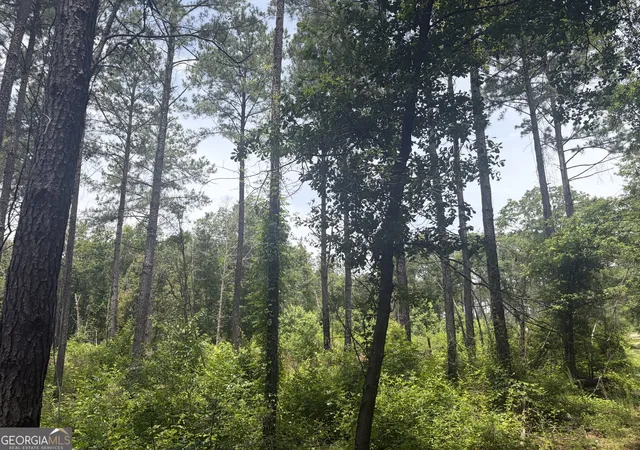 4th image of 1 Sunhill Grange Road, Davisboro, GA 31018 | MLS# 10782549