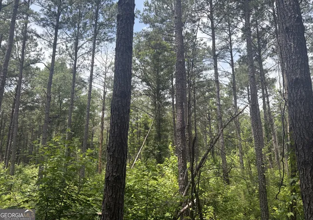 5th image of 1 Sunhill Grange Road, Davisboro, GA 31018 | MLS# 10782549